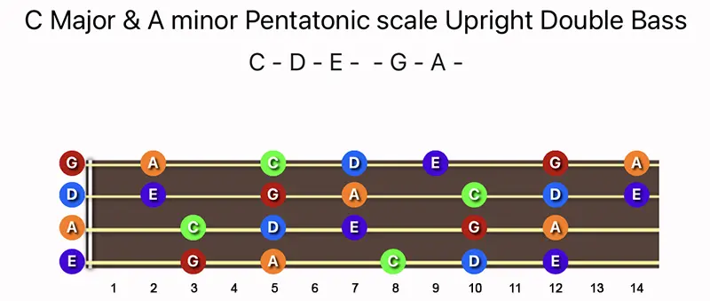 C Major & A minor Pentatonic scale notes on a Upright Double Bass fingerboard