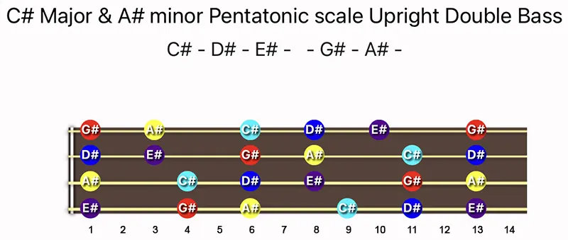 C♯ Major & A♯ minor Pentatonic scale notes on a Upright Double Bass fingerboard