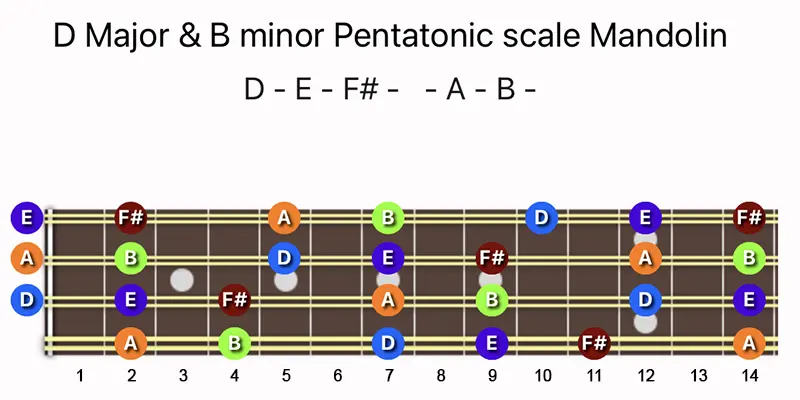 D Major & B minor Pentatonic scale notes on a Mandolin fretboard