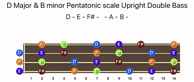 D Major & B minor Pentatonic scale notes on a Upright Double Bass fingerboard