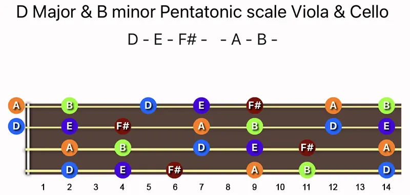 D Major & B minor Pentatonic scale notes on a Viola & Cello fingerboard