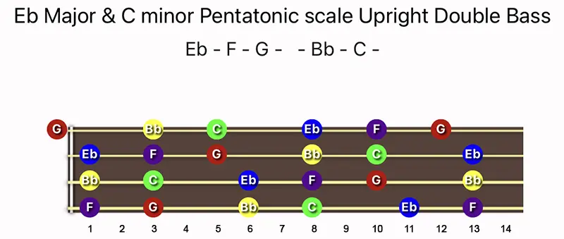 E♭ Major & C minor Pentatonic scale notes on a Upright Double Bass fingerboard