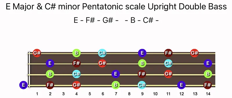 E Major & C♯ minor Pentatonic scale notes on a Upright Double Bass fingerboard