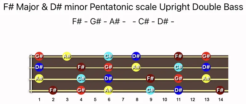 F♯ Major & D♯ minor Pentatonic scale notes on a Upright Double Bass fingerboard