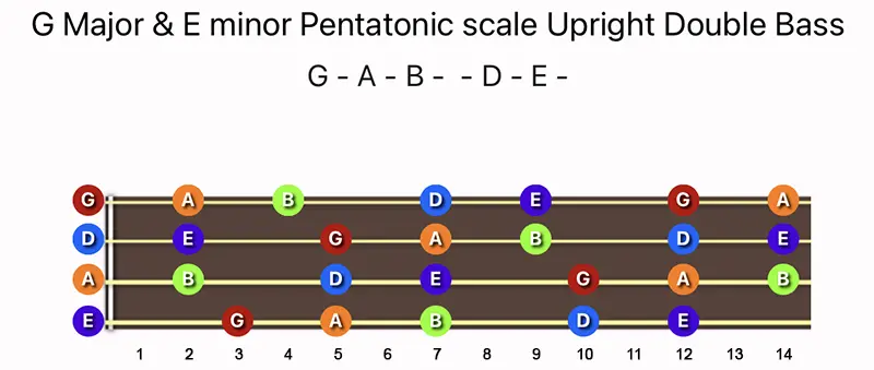 G Major & E minor Pentatonic scale notes on a Upright Double Bass fingerboard