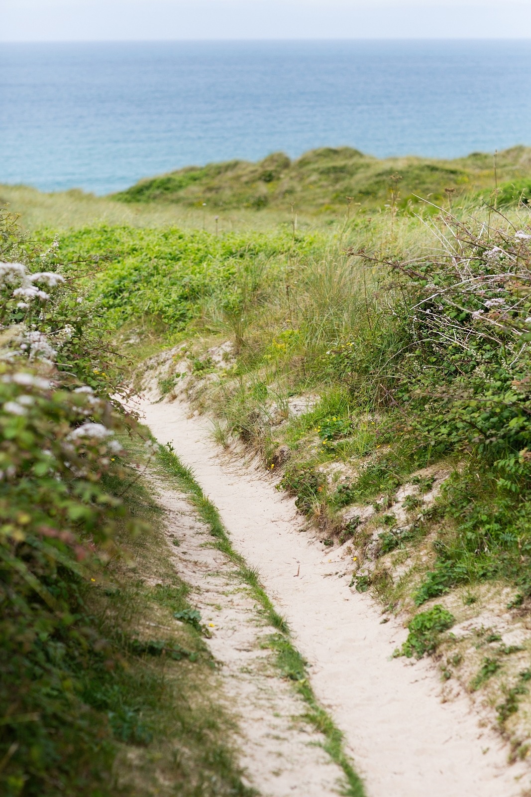 Selfridges Cartier Cartier Amulette Malachite Beach Path