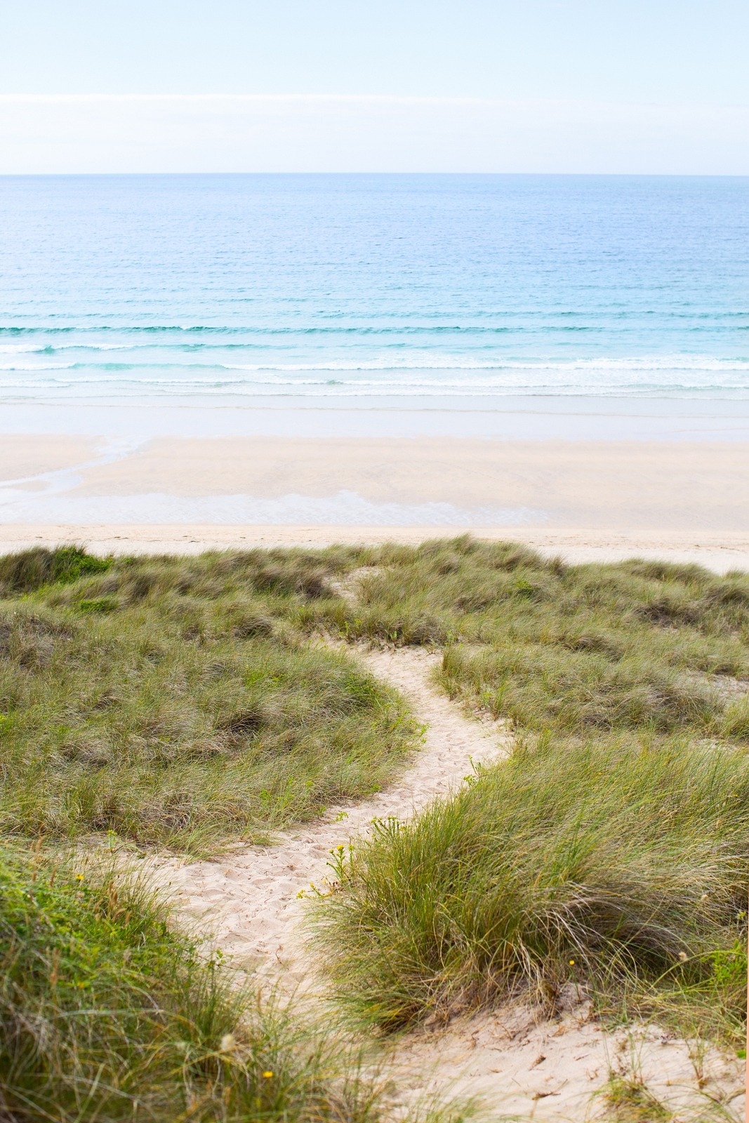Selfridges Cartier Cartier Amulette Malachite Beach Path Hayle Cornwall