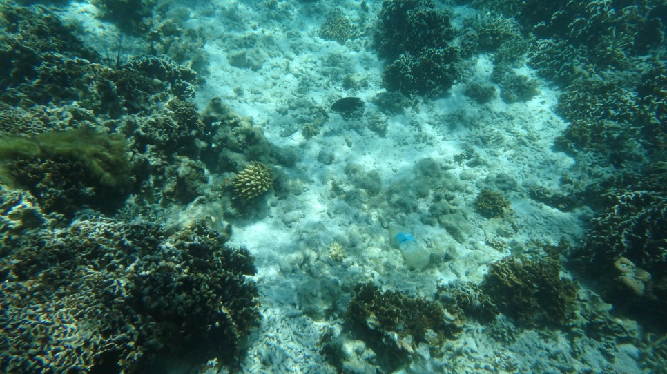 블로그 이미지 8