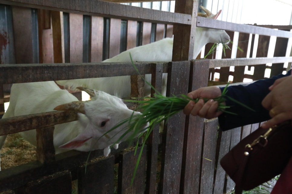 블로그 이미지 7