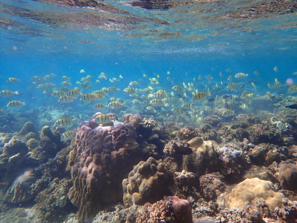 블로그 이미지 1