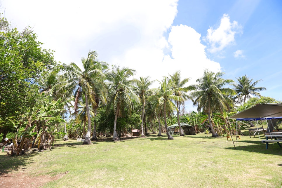 블로그 이미지 8