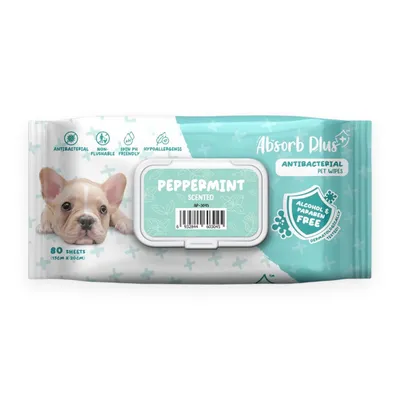 Khăn Ướt Absorb Plus Cho Cún Than Hoạt Tính Hương Bạc Hà 80 Tờ Size 15x20 cm