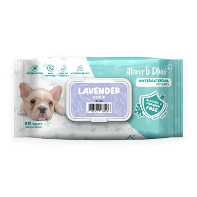 Khăn Ướt Absorb Plus Cho Cún Kháng Khuẩn Hương Lavender 80 Tờ Size 15x20 cm