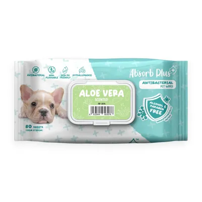 Khăn Ướt Absorb Plus Cho Cún Kháng Khuẩn Hương Nha Đam 80 Tờ Size 15x20 cm