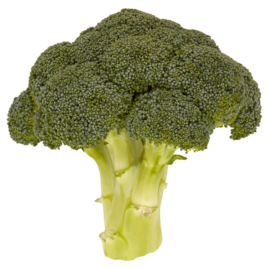 Broccoli