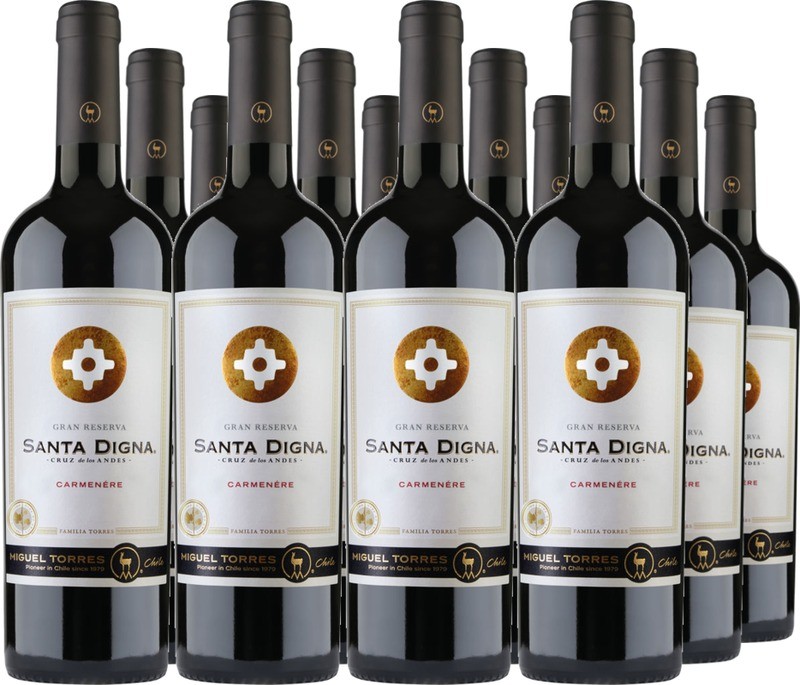 12er Vorteilspaket Santa Digna Carmenère