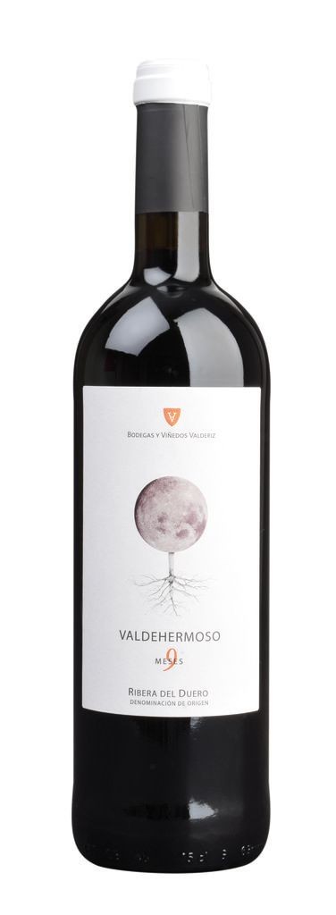 Valdehermoso 9 Meses Ribera del Duero DO Bodegas y Viñedos Zuazo Gastón Ribera del Duero