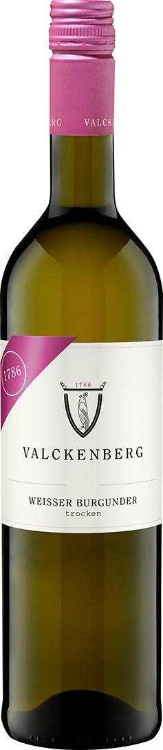 Weisser Burgunder trocken QbA b.A. Rheinhessen, P.J. Valckenberg