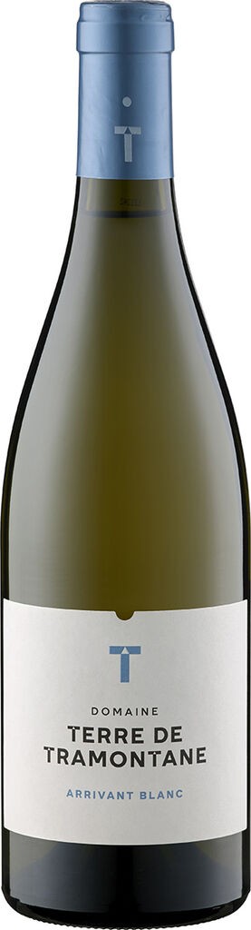 Terre de Tramontane Arrivant Blanc AOP - Bio 2020 Domaine Terre de Tramontane Languedoc-Roussillon