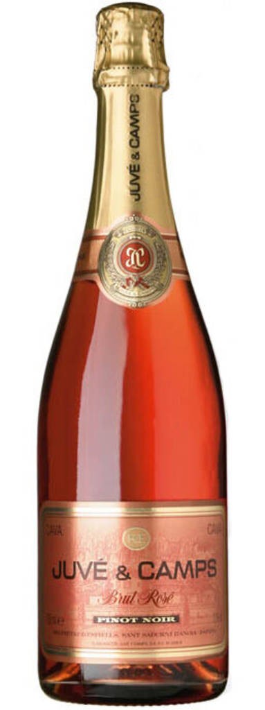 Juve y Camps Brut Rose Pinot Noir  Juve y Camps Cava