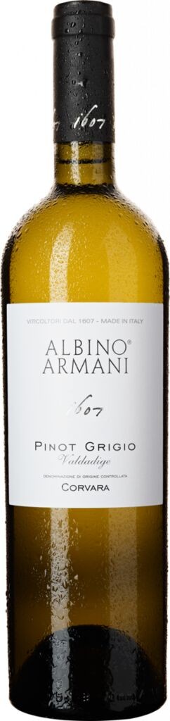 Pinot Grigio - Cru Vigneto Corvara Valdadige DOC 2022 Azienda Agricola Albino Armani Venetien