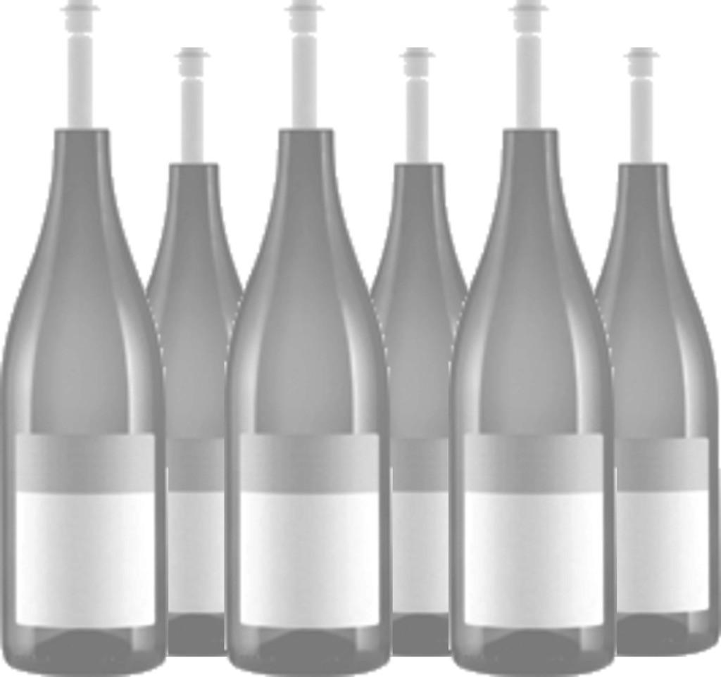6er Vorteilspaket Colorea Sauvignon Blanc La Mancha DO