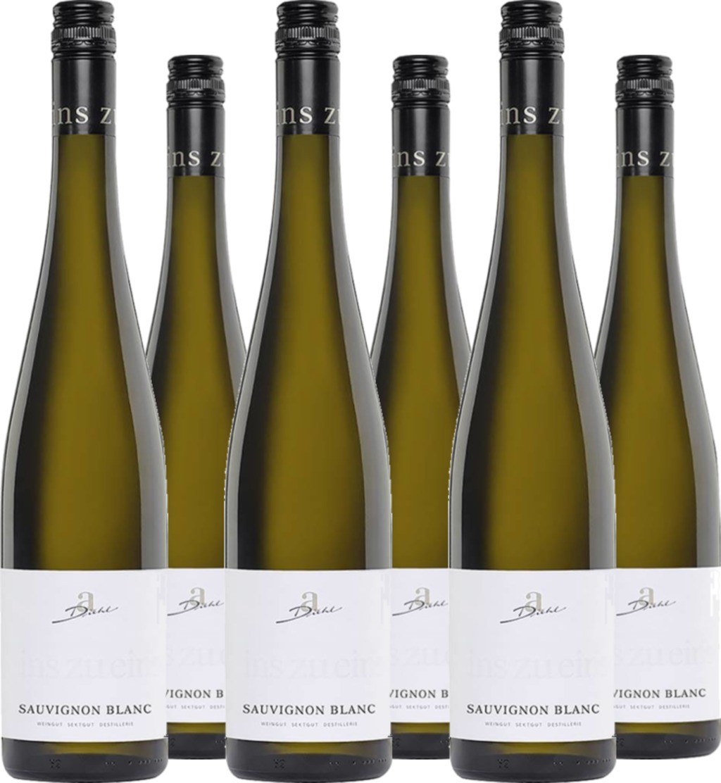 6er Vorteilspaket A. Diehl Sauvignon Blanc 'eins zu eins' QbA trocken