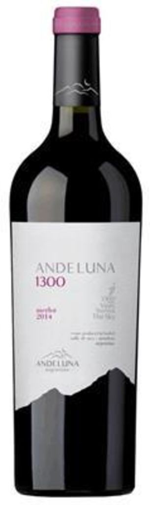 Merlot Andeluna 1300 Tupungato Mendoza 2018 Andeluna Cellars 