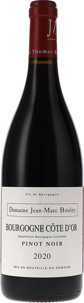 Bourgogne Côte dOr Pinot Noir AOC 2020 Jean-Marc & Thomas Bouley Burgund