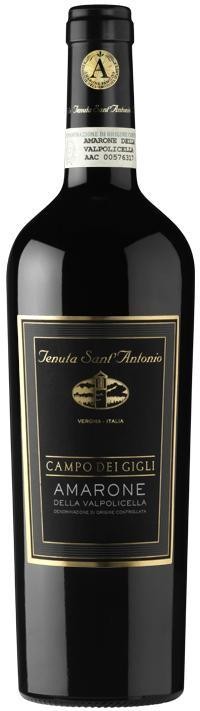 Amarone della Valpolicella DOC Campo dei Gigli Sant'Antonio Venetien