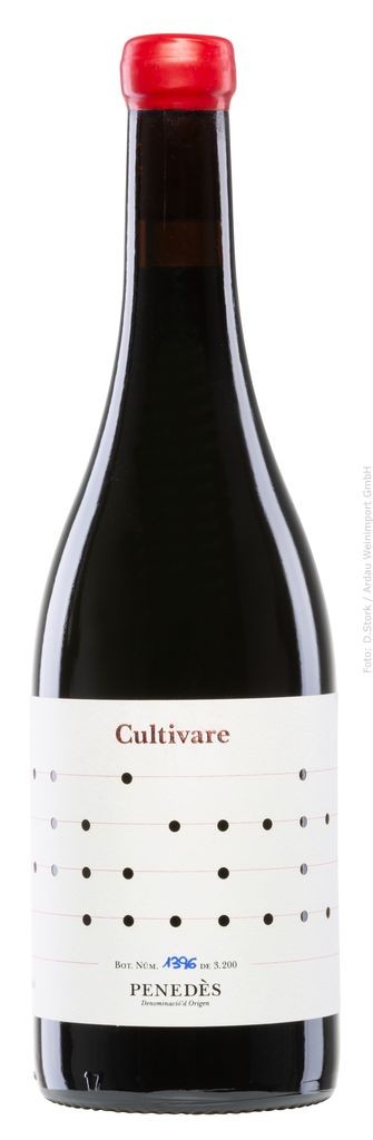 Cultivare Sumoll Samsó 2019 Cultivare - Vallformosa Penedès (D.O.)