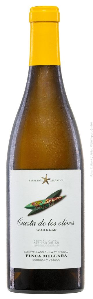 Cuesta de los olivos Godello 2021 Finca Míllara Ribeira Sacra (D.O.)