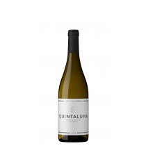 Osborne  Quintaluna de Ossian Verdejo