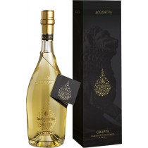 Bottega Grappa Cabernet Invecchiata Accademia