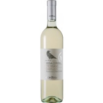 Contesa di Rocco Pasetti Trebbiano D Abruzzo D.o.c. Linea Vigna Corvina