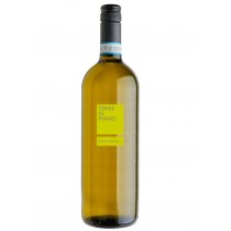 Terre al Piano Pinot Grigio del Veneto DOC DV