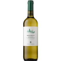 Castelli Del Grevepesa Vernaccia di San Gimignano DOCG Bertesca