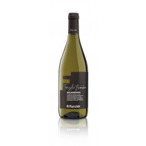 Forchir Sauvignon DOC Famiglia Bianchini