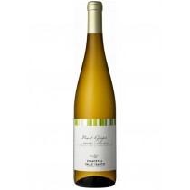 Eisacktal Pinot Grigio DOC