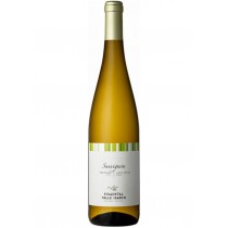 Eisacktal Sauvignon DOC