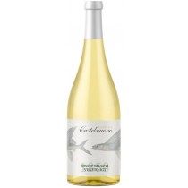 Edizione Viticoltore Pinot Bianco Veneto IGT Edizione Viticoltore