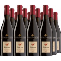 Albinea Canali 12er Vorteilspaket Lambrusco Grasparossa DOC Codarossa