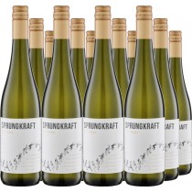 Sprungkraft 12er Vorteilspaket Cuvée weiss "Hoch"