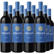 Bodega Amalaya 12er Vorteilspaket Amalaya tinto Valle Calchaquí Salta