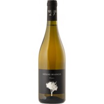 Podere 29 Gelso Bianco Fiano Minutolo Puglia IGT