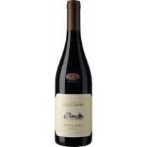 Collavini Merlot Poncanera Venezia Giulia IGT