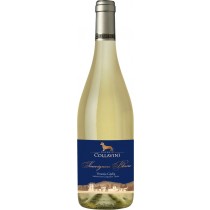 Collavini Sauvignon Blanc IGT Venezia Giulia