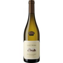 Collavini Sauvignon Blancfumat Collio DOC