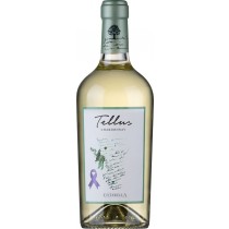 Falesco Tellus Chardonnay Bianco Lazio IGP