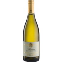 Bersano Monteolivo Moscato d